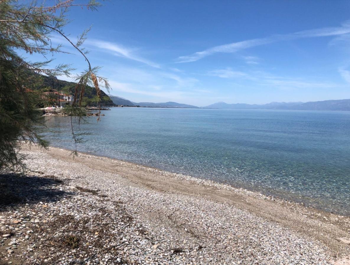 Paralia Platanou Seaview House Eksteriør billede